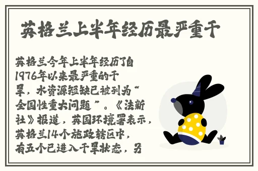 朝鲜妇女鲜妇BBWW